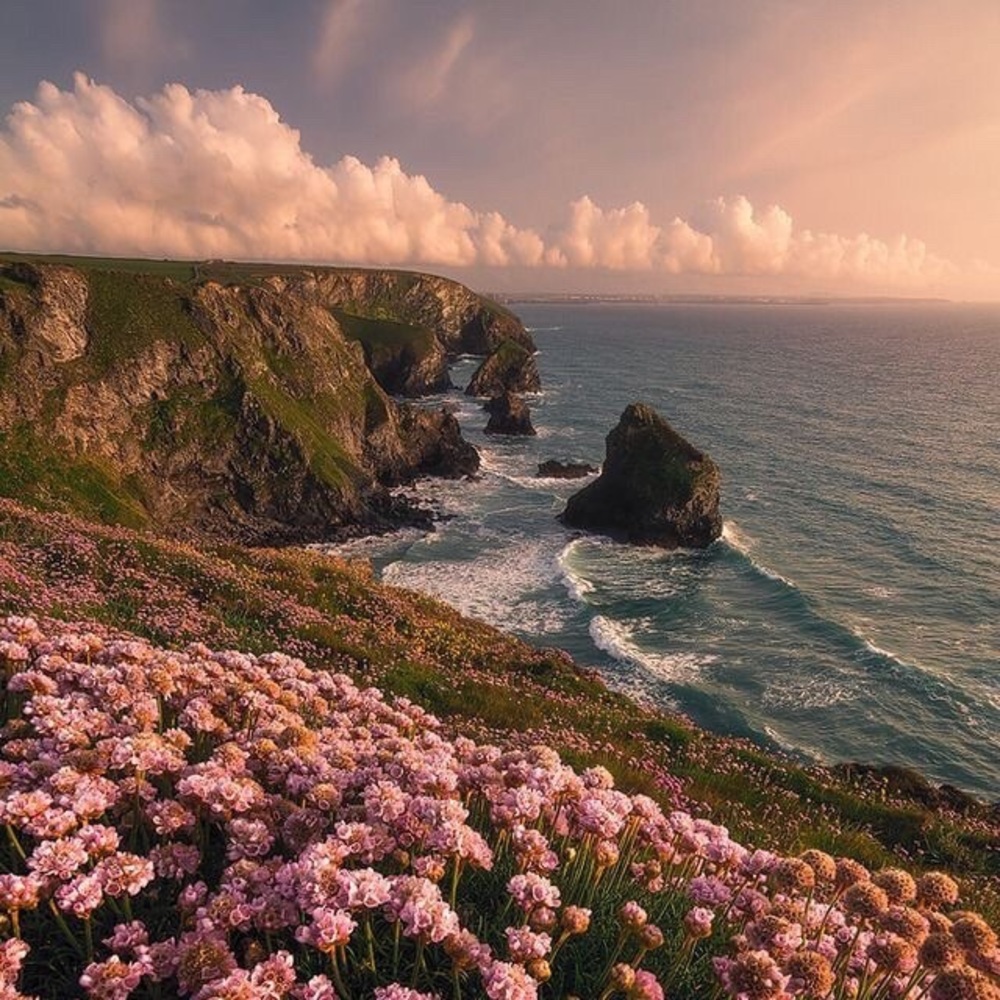 Meet your Posher, Paulina